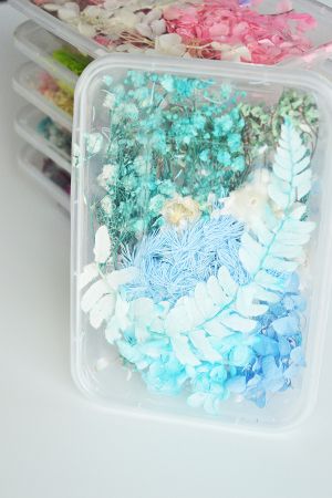 cutie-flori-uscate-albastre-turcoaz