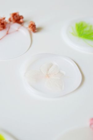 cutie-flori-uscate-roz-ivoire-2