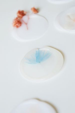 cutie-flori-uscate-albastre-turcoaz-1